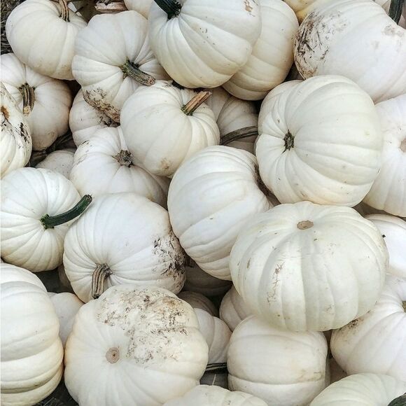 Send me a reasonable offer! Let's do this! (unless it's a handmade item😉)😊📦 - Picture 8 of 10